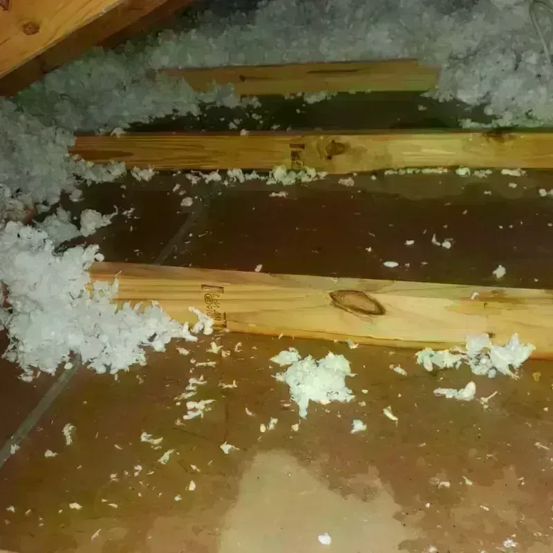 Attic Water Damage in Chardon, OH